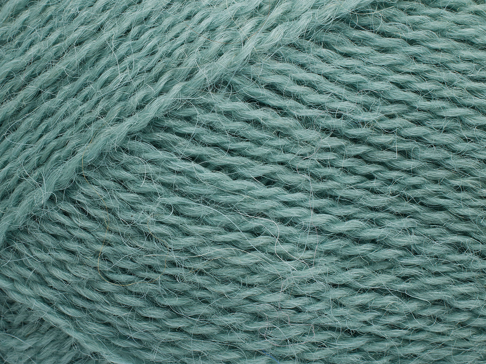Alva - 0368 Eucalyptus